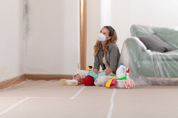 Reliable Mold Remediation contractor in Salem, OR by Mold Remediation HQ